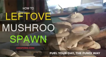 Reviving Leftover Mushroom Spawn: A Step-by-Step Guide