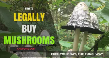 Legal Mushroom Purchases: A Comprehensive Guide to Safe Acquisition