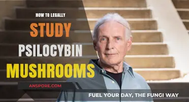 Legally Exploring Psilocybin: A Guide to Studying Magic Mushrooms