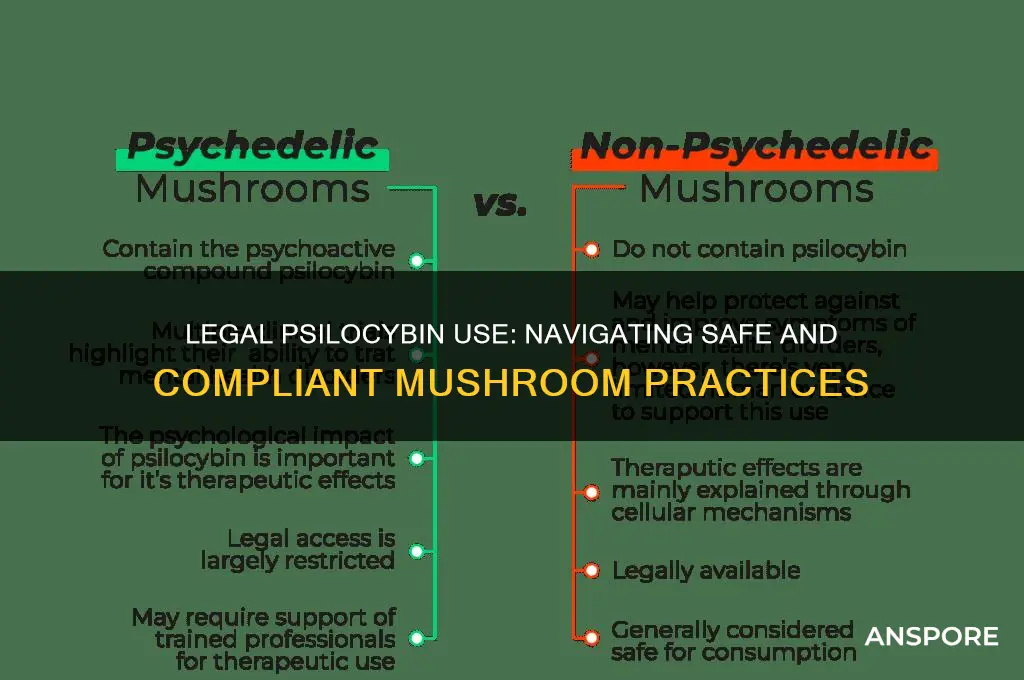how to legally use psilocybin mushrooms