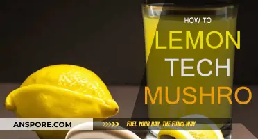 Lemon Tech Mushrooms: A Step-by-Step Guide
