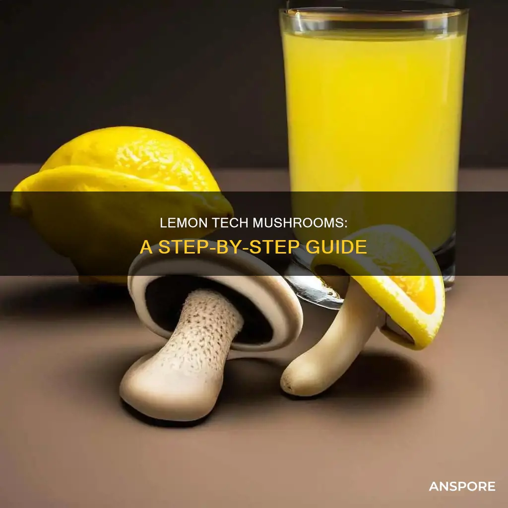 how to lemon tech mushrooms