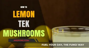 Lemon Tekking: A Guide to Enhancing Mushroom Effects