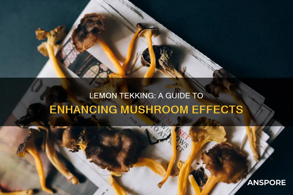 how to lemon tek mushrooms