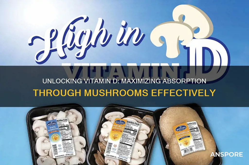 how to let asorb mushrooms vitamin d