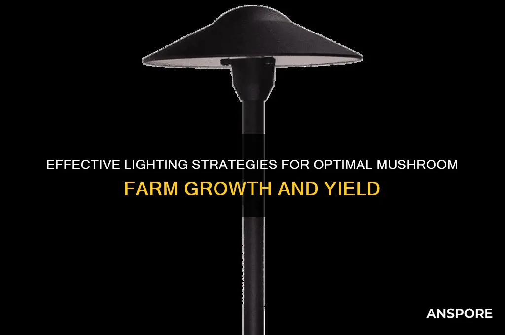 how to light a mushroom farm