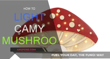 Camy Mushrooms: Lighting Techniques for Perfect Shots