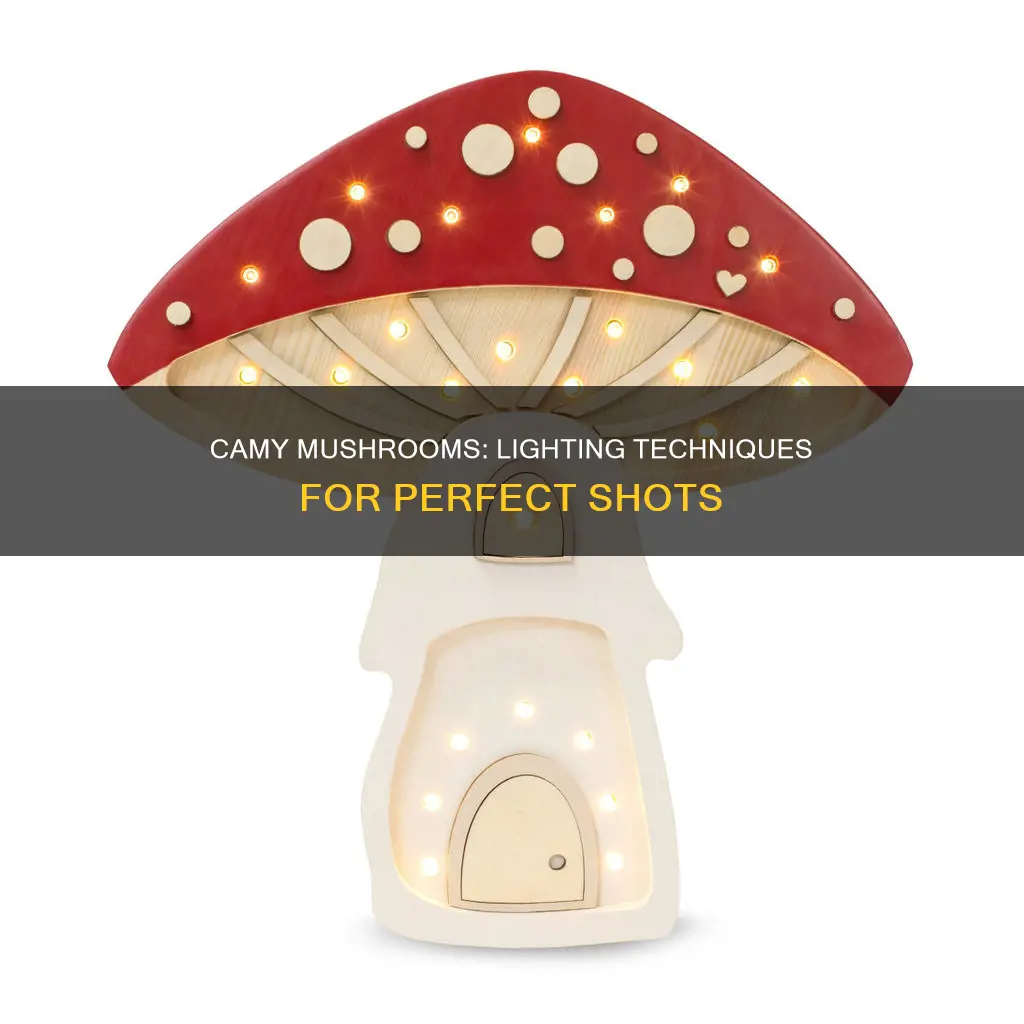 how to light camy mushrooms