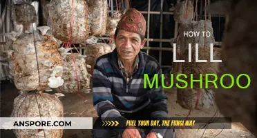 Mushroom Gardening: A Step-by-Step Guide to Success