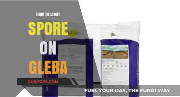 Effective Strategies to Control Spore Spread on Gleba Surfaces