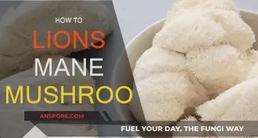 Lion's Mane Mushrooms: Benefits, Uses, and Growing Guide