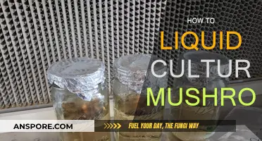 Liquid Culture: Mastering Mushroom Growth