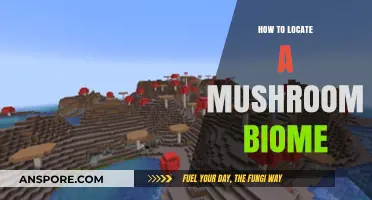 Finding Fungal Forests: A Guide to Locating Mushroom Biomes