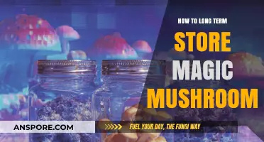 Preserving Psilocybin: Effective Long-Term Storage Tips for Magic Mushrooms