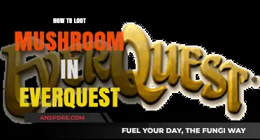 Mastering Mushroom Looting in EverQuest: Tips and Strategies