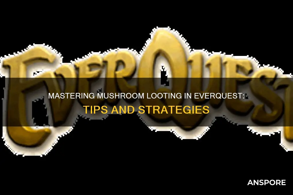 how to loot mushroom in everquest