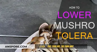 Resetting Mushroom Tolerance: Strategies for Effective Microdosing