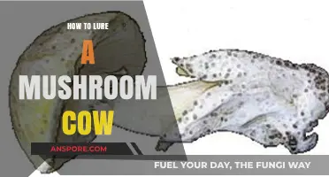 Mastering the Art of Attracting Mushroom Cows: A Step-by-Step Guide