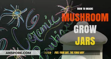 Mastering Magic Mushroom Cultivation: A Guide to Growing in Jars