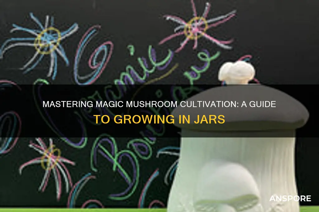 how to magic mushroom grow jars