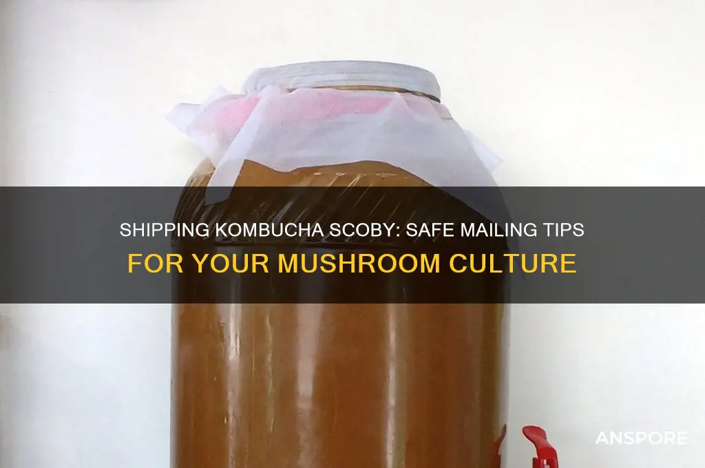how to mail a kombucha mushroom