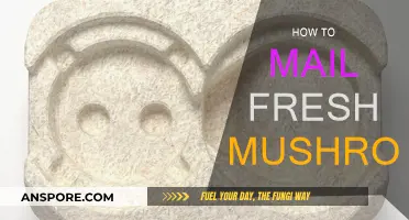 Mailing Mushrooms: Keep Them Fresh and Intact