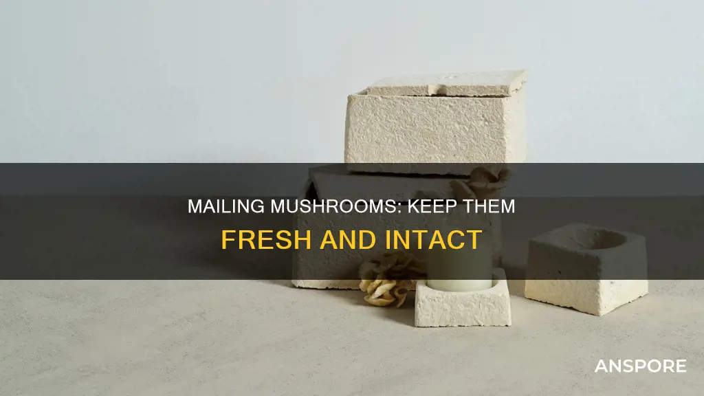how to mail fresh mushrooms