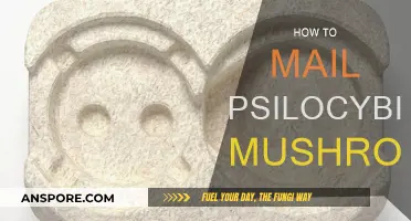 Mailing Psilocybin Mushrooms: A Step-by-Step Guide