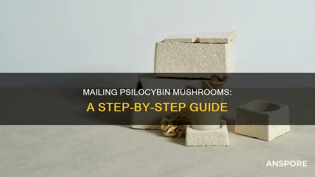 how to mail psilocybin mushrooms