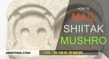 Mailing Shiitake Mushrooms: A Step-by-Step Guide