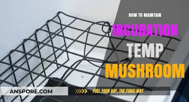 Mastering Mushroom Incubation: Tips to Maintain Optimal Temperature