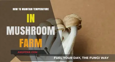 Mastering Mushroom Farm Temperature Control for Optimal Growth and Yield