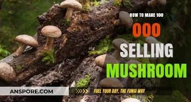 Profitable Mushroom Farming: Strategies to Earn Six Figures Annually