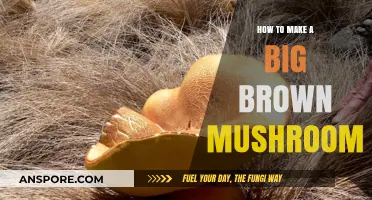 Crafting a Giant Brown Mushroom: A Step-by-Step Creative Guide