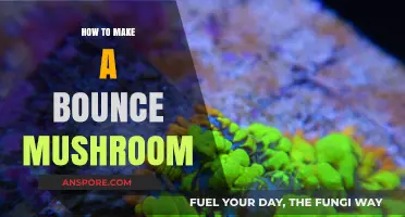 Crafting a Bounce Mushroom: A Step-by-Step DIY Guide