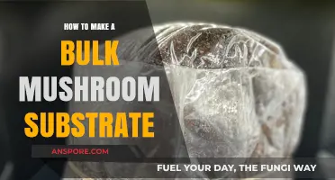 Mastering Bulk Mushroom Substrate: A Step-by-Step Guide for Success