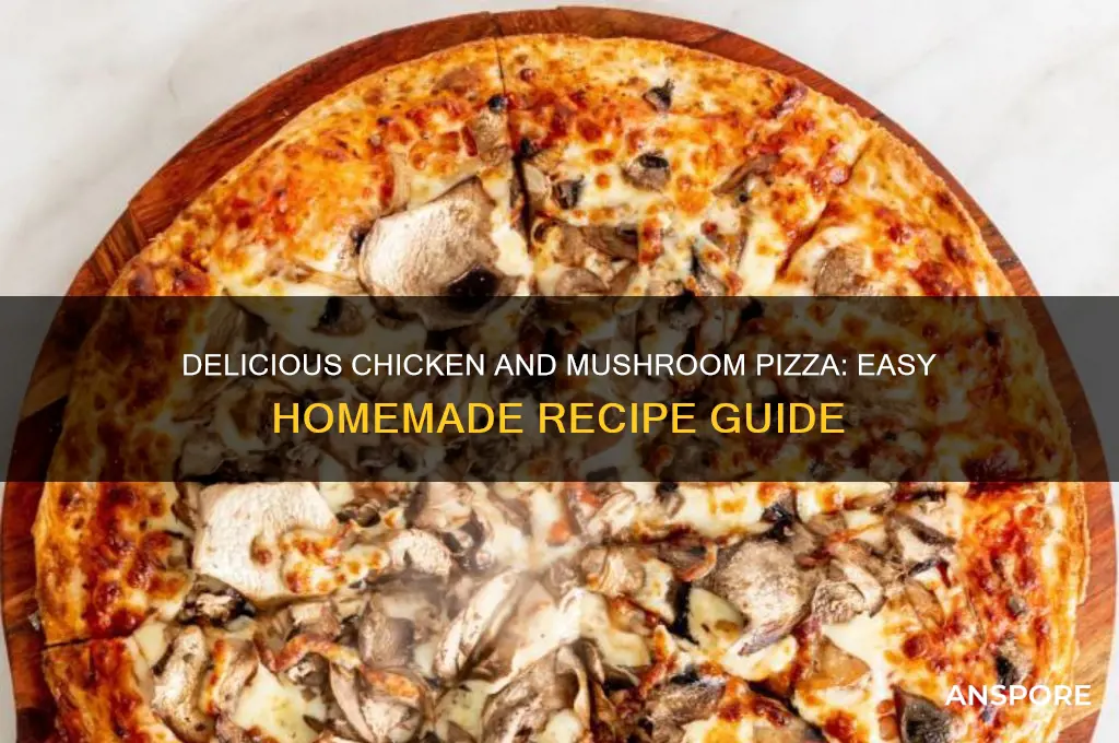 how to make a chicken and mushroom pizza