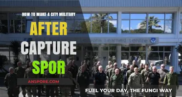 Transforming a Captured City into a Military Stronghold: Post-Spor Strategies