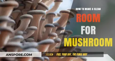 Creating a Sterile Environment for Successful Mushroom Cultivation at Home