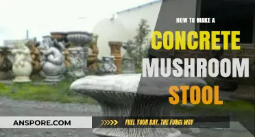 Crafting a Durable Concrete Mushroom Stool: DIY Step-by-Step Guide