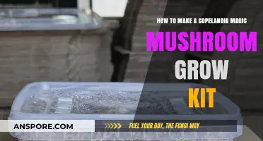 Crafting a Copelandia Magic Mushroom Grow Kit: Step-by-Step Guide