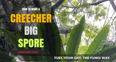 Mastering the Art of Growing Giant Creeper Spores: A Step-by-Step Guide