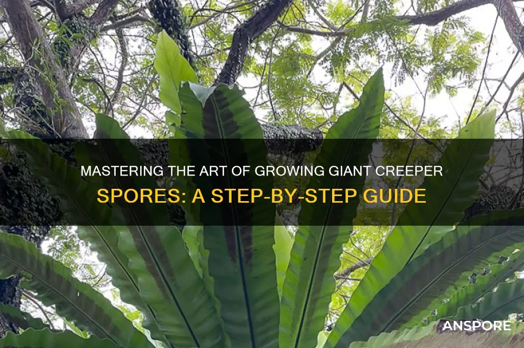 how to make a creecher big spore