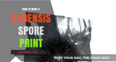 Mastering the Art of Creating Perfect Cubensis Spore Prints