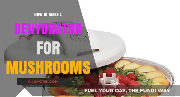 DIY Mushroom Dehydrator: Easy Steps for Perfect Preservation at Home