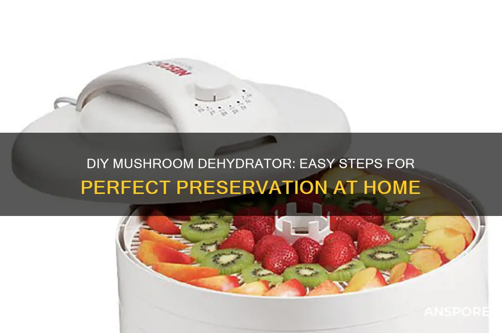 how to make a dehydrator for mushrooms