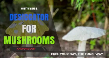 DIY Mushroom Desiccator: Simple Steps for Perfect Preservation at Home
