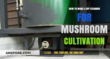 DIY Mushroom Steamer: Simple Steps for Successful Cultivation at Home
