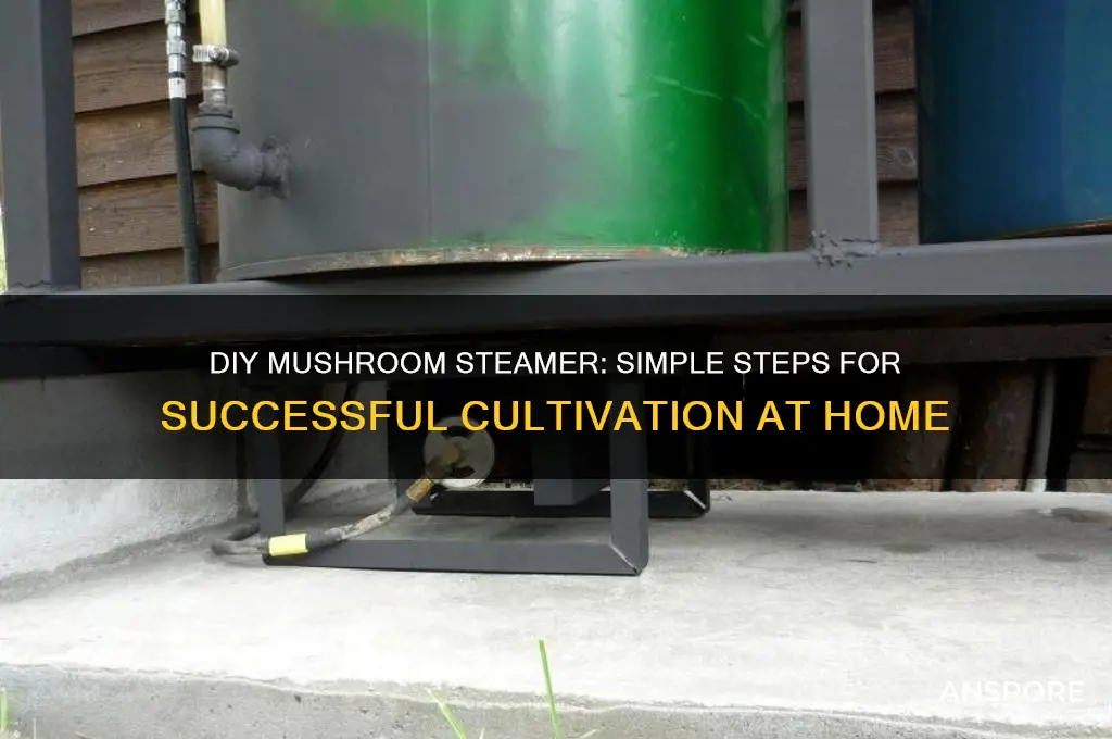 how to make a diy steamer for mushroom cultivation