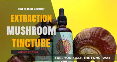 Mastering Double Extraction: Crafting Potent Mushroom Tinctures at Home